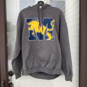 Grey Michigan Wolverines Detroit Lions Hoodie